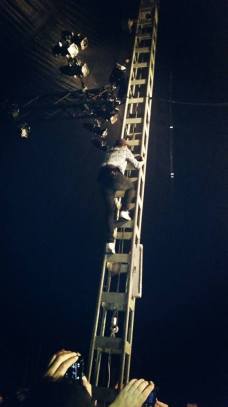 11949274_830119790442682_919035462711605078_n